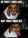 funny-dog-pictures-at-first-i-was-like.jpg