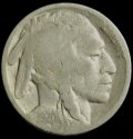 1920_(P)_USA_Buffalo_Nickel.JPG