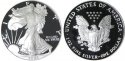 2006-american-silver-eagle-proof-bullion.jpg